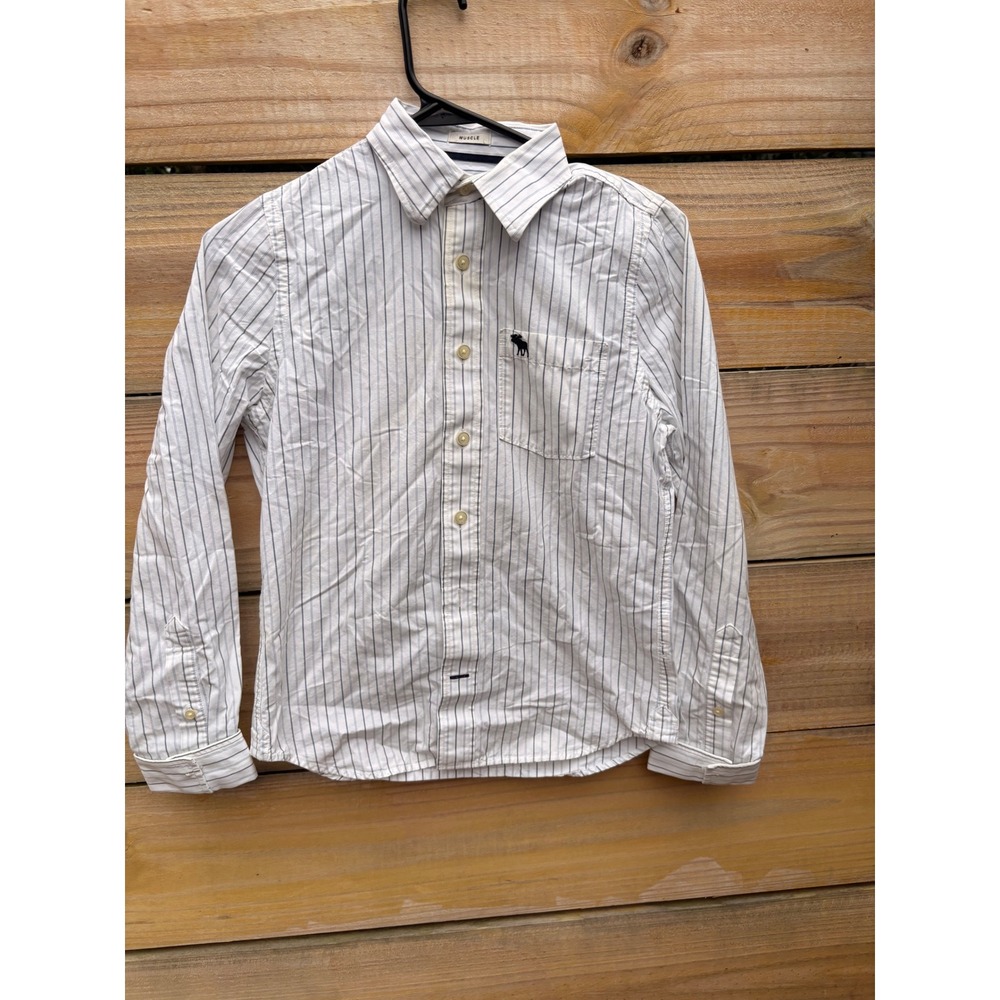 Abercrombie & Fitch Mens Muscle Fit Long Sleeve Striped Button Down Shirt L